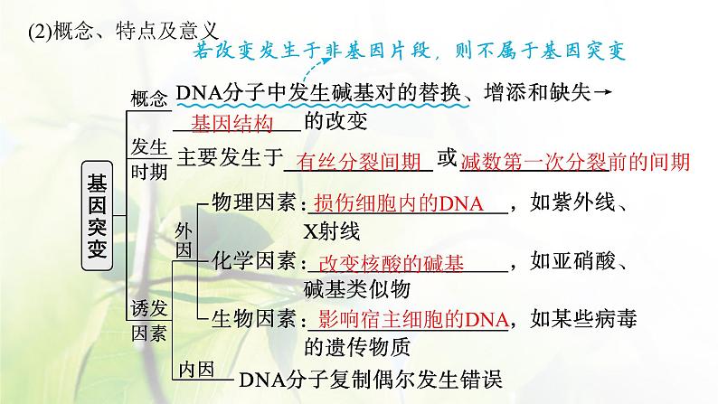 人教版2024届高考生物一轮复习基因突变与基因重组教学课件 (2)第8页