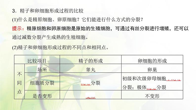 人教版2024届高考生物一轮复习减数分裂和受精作用教学课件 (2)第8页