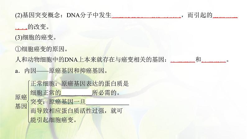 人教版2024届高考生物一轮复习基因突变与基因重组教学课件第4页