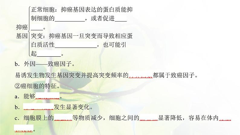 人教版2024届高考生物一轮复习基因突变与基因重组教学课件第5页