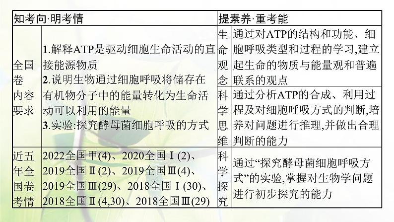 人教版2024届高考生物一轮复习ATP与细胞呼吸教学课件第3页