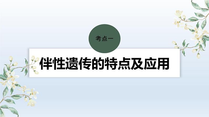 人教版2024届高考生物一轮复习伴性遗传的特点与应用及人类遗传病教学课件第4页