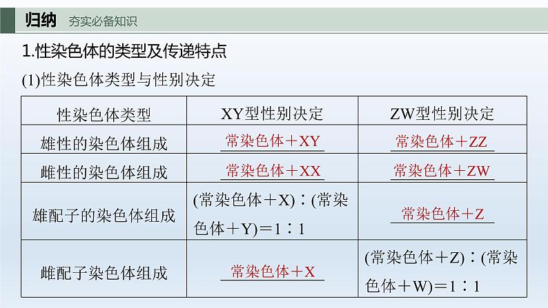 人教版2024届高考生物一轮复习伴性遗传的特点与应用及人类遗传病教学课件第5页