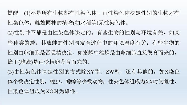 人教版2024届高考生物一轮复习伴性遗传的特点与应用及人类遗传病教学课件第7页