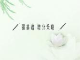 人教版2024届高考生物一轮复习伴性遗传和人类遗传病教学课件