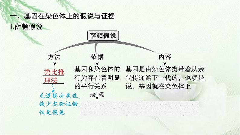 人教版2024届高考生物一轮复习伴性遗传和人类遗传病教学课件05