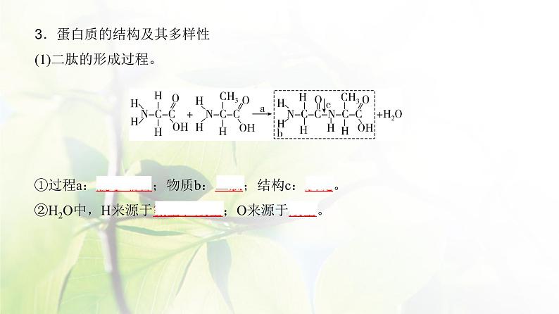 人教版2024届高考生物一轮复习蛋白质和核酸教学课件 (2)第5页