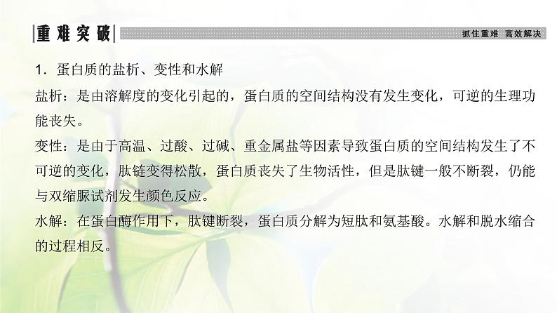 人教版2024届高考生物一轮复习蛋白质和核酸教学课件 (2)第8页