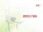 人教版2024届高考生物一轮复习DNA是主要的遗传物质教学课件