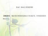 人教版2024届高考生物一轮复习DNA是主要的遗传物质教学课件