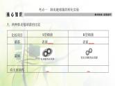 人教版2024届高考生物一轮复习DNA是主要的遗传物质教学课件