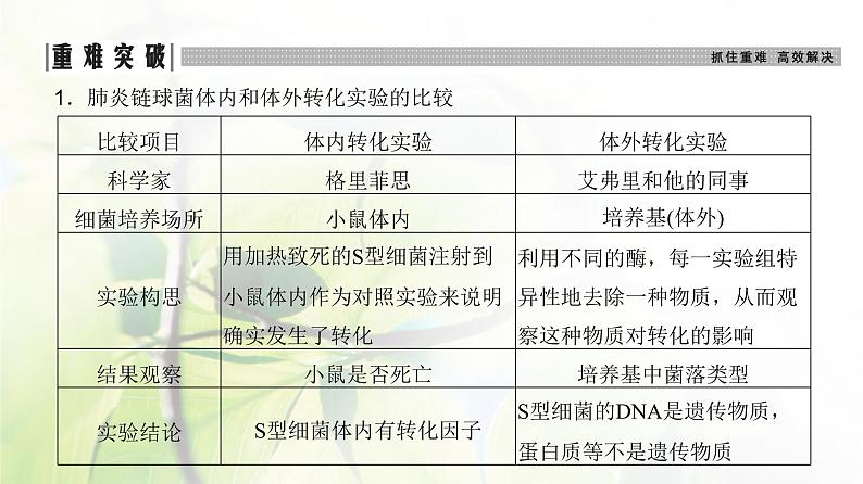 人教版2024届高考生物一轮复习DNA是主要的遗传物质教学课件第8页