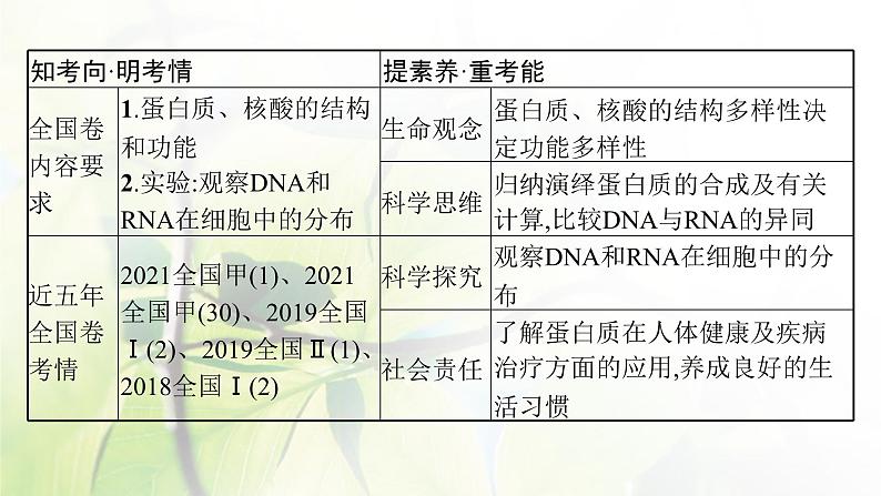 人教版2024届高考生物一轮复习蛋白质和核酸教学课件第3页