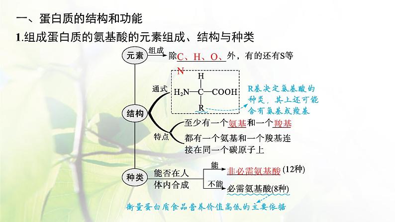 人教版2024届高考生物一轮复习蛋白质和核酸教学课件第5页