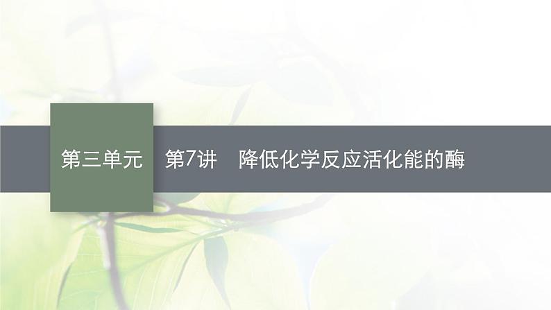 人教版2024届高考生物一轮复习降低化学反应活化能的酶教学课件01