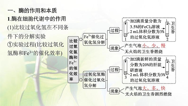 人教版2024届高考生物一轮复习降低化学反应活化能的酶教学课件05