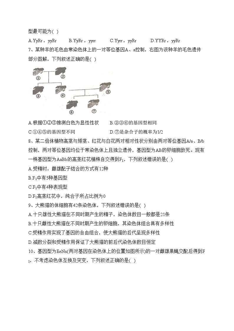 辽宁省大连市2022-2023学年高一下学期期末考试生物试卷（含答案）02