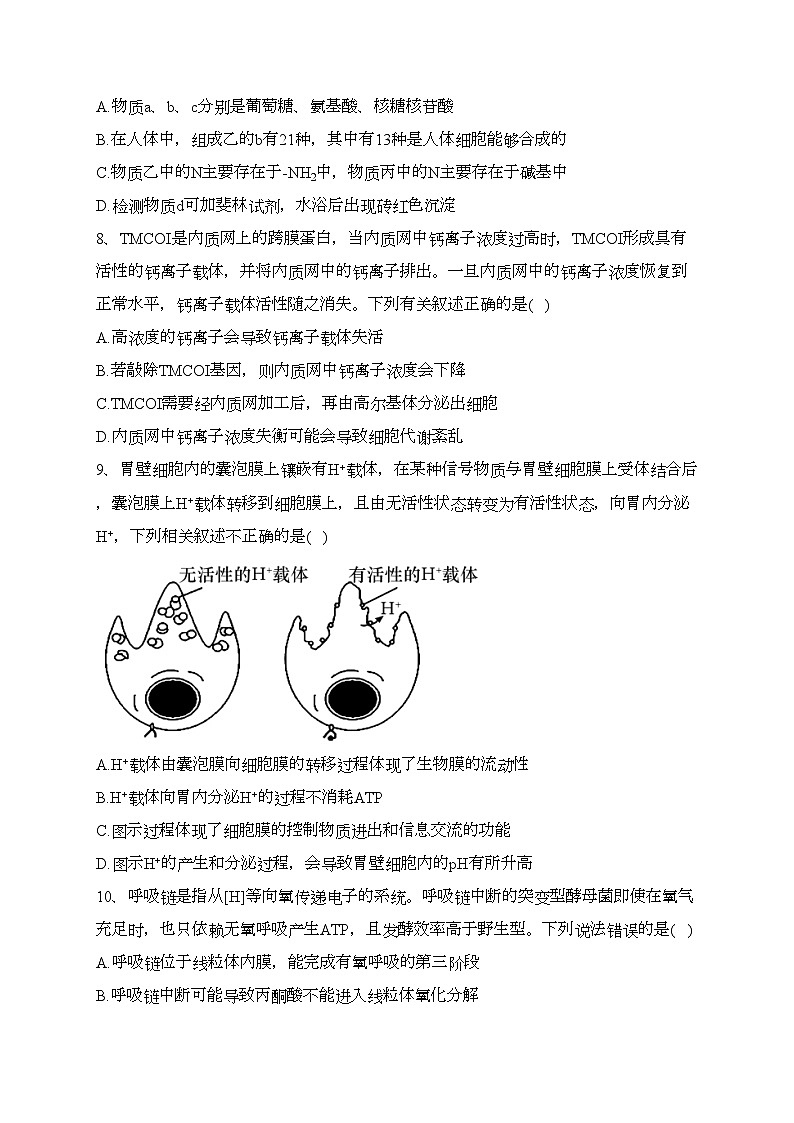 辽宁省鞍山市第一中学等五校联考2022-2023学年高二下学期期末考试生物试卷（含答案）第3页