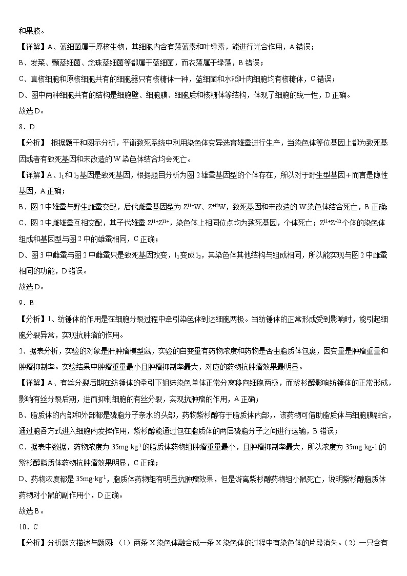 2024届辽宁省沈阳市浑南区东北育才学校高三下学期一模生物试题03