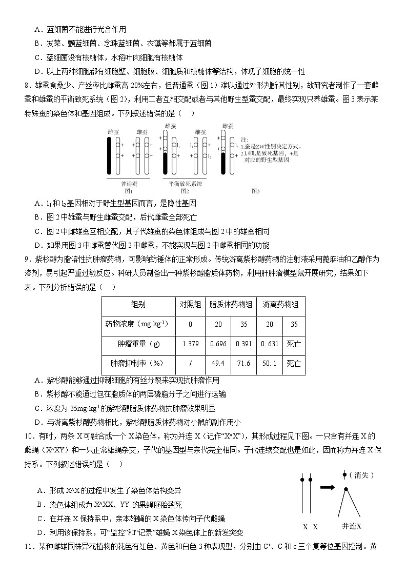 辽宁省沈阳市东北育才学校科学高中部2024届高三生物上学期高考适应性测试（一）（Word版附解析）03