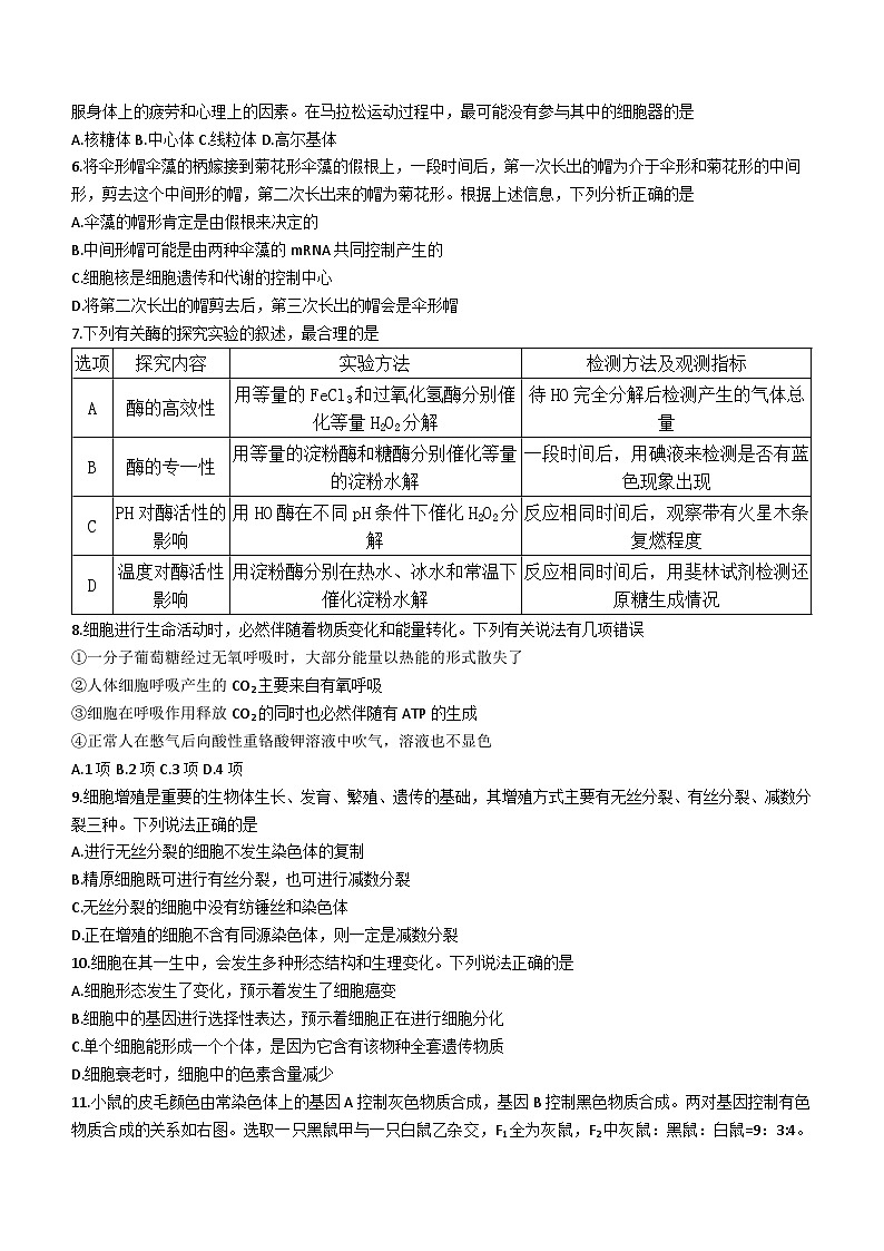山西省名校联合测评2022-2023高二下学期期末生物试卷+答案02