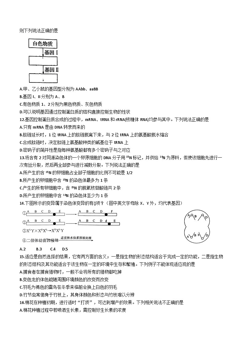 山西省名校联合测评2022-2023高二下学期期末生物试卷+答案03