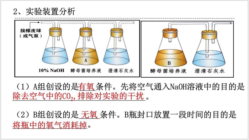 人教版2019必修一高中生物学5.3《细胞呼吸的原理和利用》课件+同步分层练习05