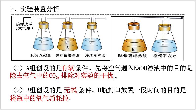 5.3《细胞呼吸的原理和应用》 第5页