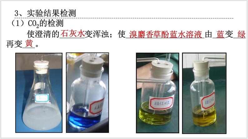 人教版2019必修一高中生物学5.3《细胞呼吸的原理和利用》课件+同步分层练习06