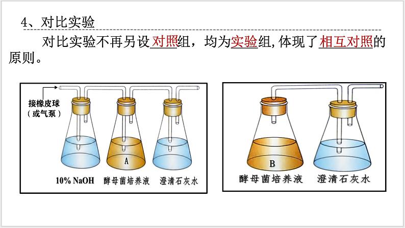 5.3《细胞呼吸的原理和应用》 第8页