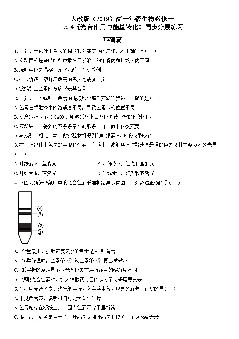 人教版2019必修一高中生物学5.4《光合作用与能量转化》课件+同步分层练习01