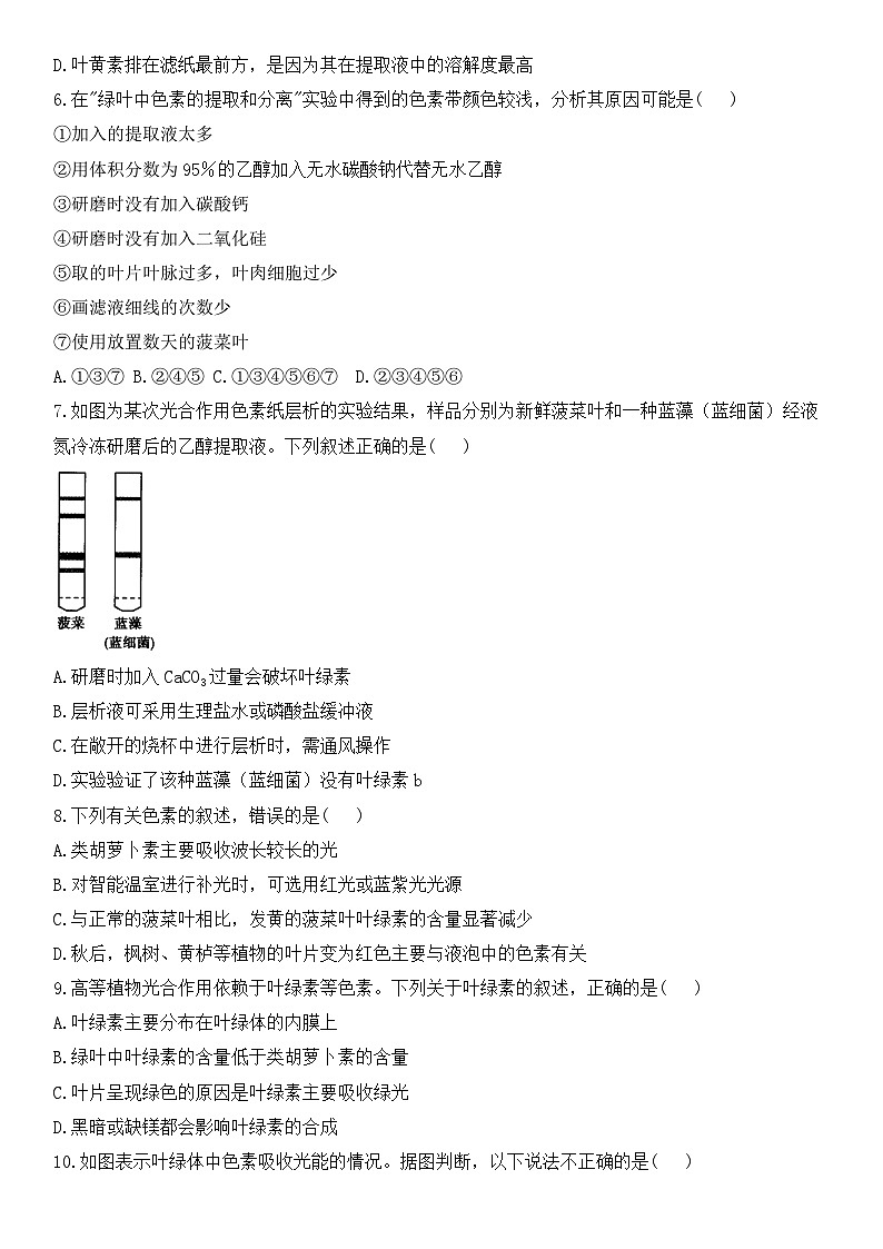 人教版2019必修一高中生物学5.4《光合作用与能量转化》课件+同步分层练习02