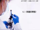 人教版2019必修一高中生物学6.1《细胞的增殖》课件+同步分层练习