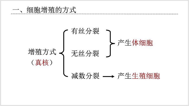 人教版2019必修一高中生物学6.1《细胞的增殖》课件+同步分层练习04