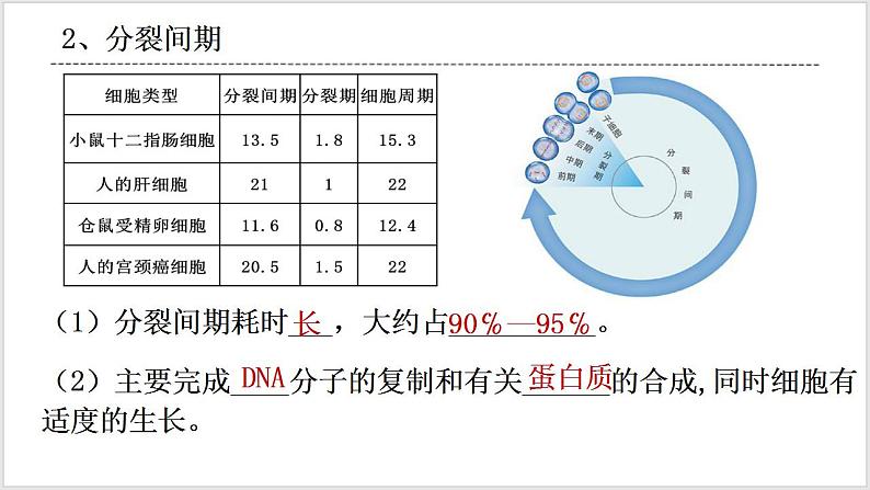 人教版2019必修一高中生物学6.1《细胞的增殖》课件+同步分层练习06