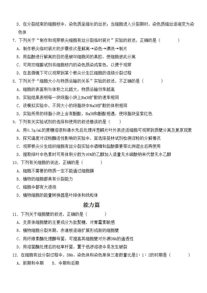 人教版2019必修一高中生物学6.1《细胞的增殖》课件+同步分层练习03