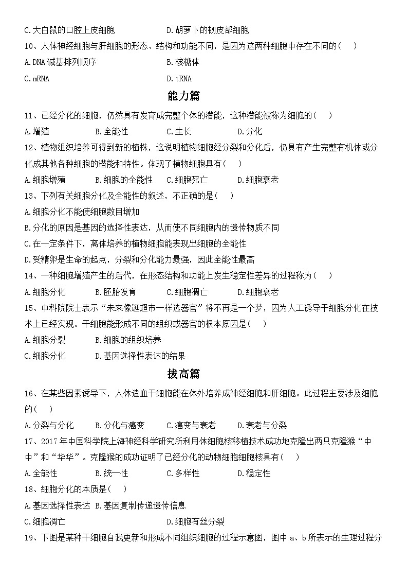 人教版2019必修一高中生物学6.2《细胞的分化》课件+同步分层练习02