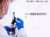 人教版2019必修一高中生物学6.3《细胞的衰老和死亡》课件+同步分层练习