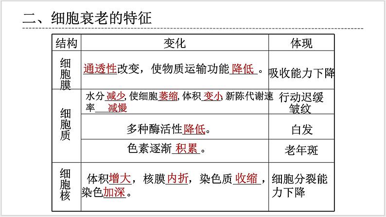 人教版2019必修一高中生物学6.3《细胞的衰老和死亡》课件+同步分层练习05