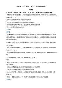 2023届河北省部分学校高三二模联考生物试题（解析版）