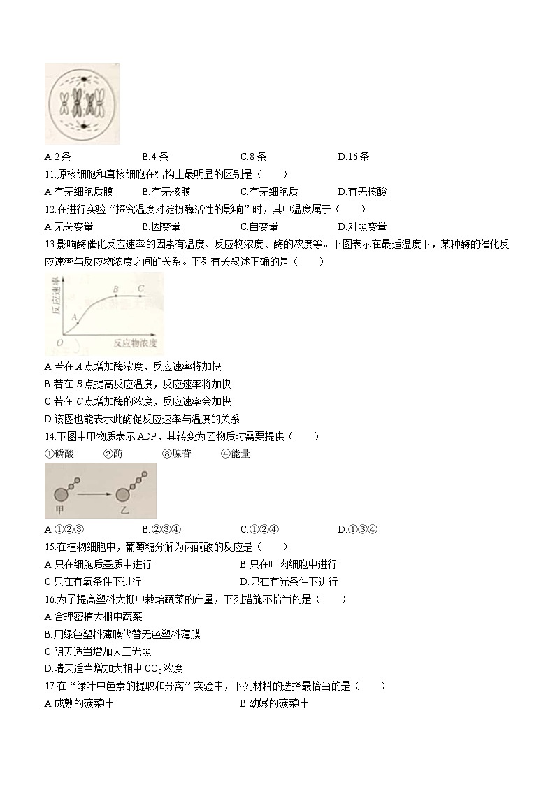 江苏省南京市宁海中学2022—2023学年普通高中学业水平合格性考试6月模拟生物试题(无答案)第2页