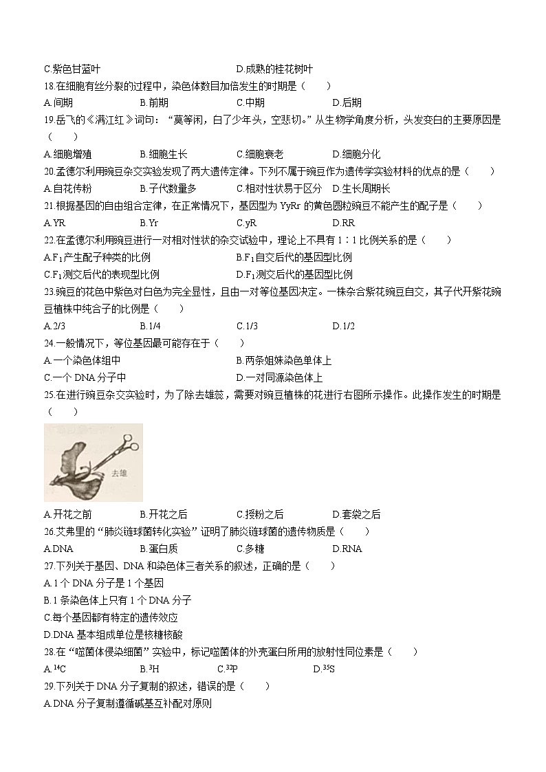 江苏省南京市宁海中学2022—2023学年普通高中学业水平合格性考试6月模拟生物试题(无答案)第3页