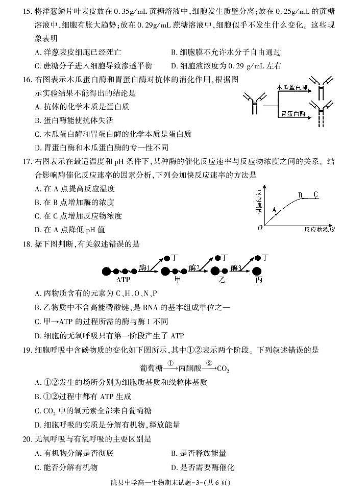 陕西省宝鸡市陇县中学2020-2021学年高一上学期期末考试生物试卷第3页
