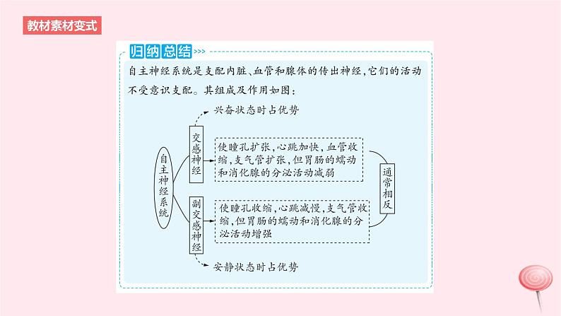 2024版高考生物一轮复习教材基础练第八章动物生命活动的调节第2节神经调节教学课件第5页