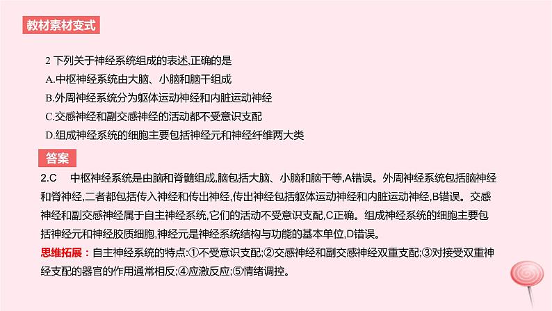 2024版高考生物一轮复习教材基础练第八章动物生命活动的调节第2节神经调节教学课件第6页