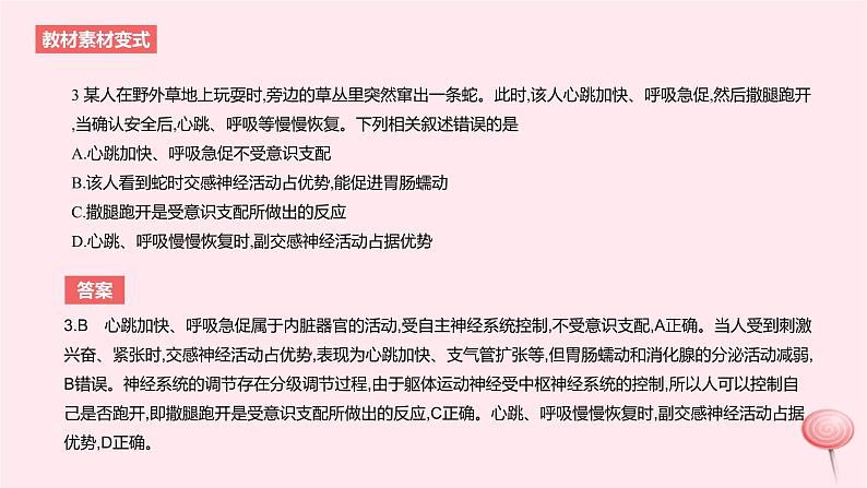 2024版高考生物一轮复习教材基础练第八章动物生命活动的调节第2节神经调节教学课件第7页