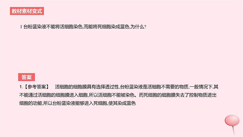 2024版高考生物一轮复习教材基础练第二章细胞的基本结构与物质运输长句训练1与细胞有关的结构功能和特性的描述教学课件第3页