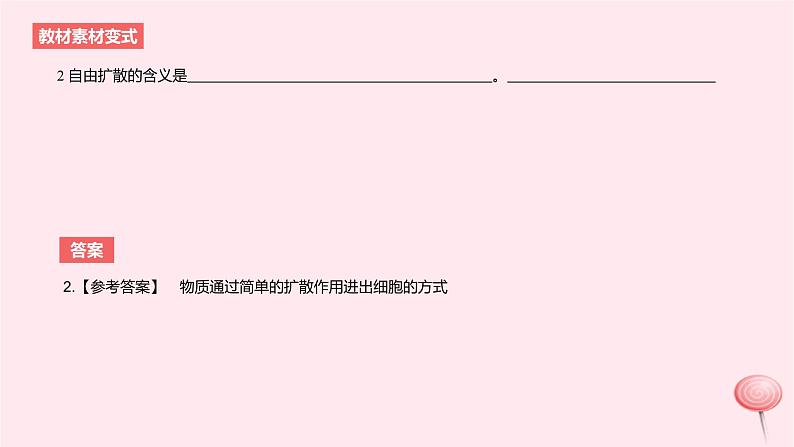 2024版高考生物一轮复习教材基础练第二章细胞的基本结构与物质运输长句训练1与细胞有关的结构功能和特性的描述教学课件第4页