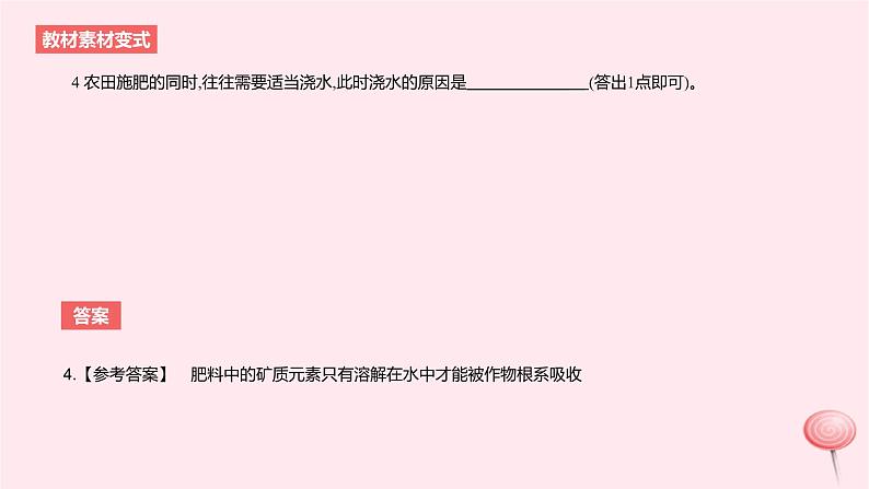 2024版高考生物一轮复习教材基础练第二章细胞的基本结构与物质运输长句训练1与细胞有关的结构功能和特性的描述教学课件第6页