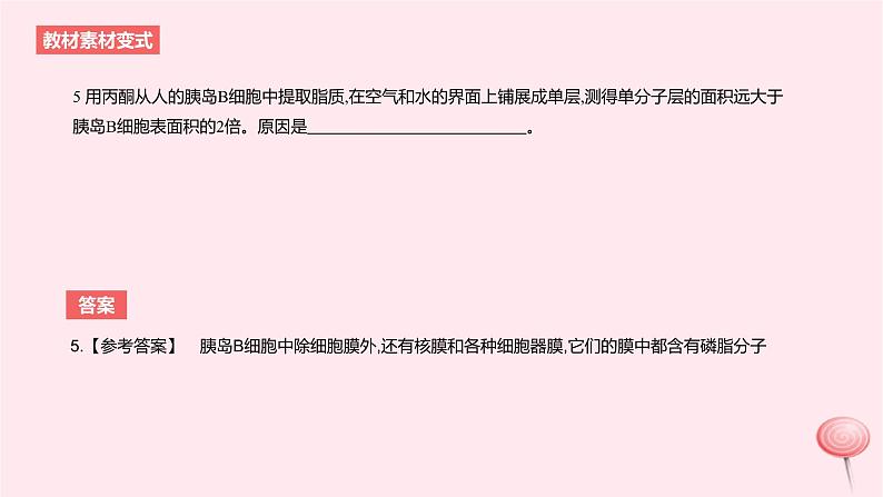 2024版高考生物一轮复习教材基础练第二章细胞的基本结构与物质运输长句训练1与细胞有关的结构功能和特性的描述教学课件第7页